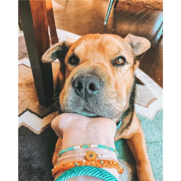 5PCS Boho Woven Sunflower Bracelets for Women Teens Girls Boy Couple Wrap Rope - Picture 6 of 6